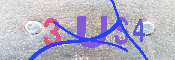 キャプチャ画像