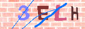 キャプチャ画像