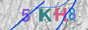 キャプチャ画像