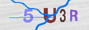 キャプチャ画像