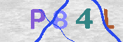 キャプチャ画像
