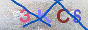 キャプチャ画像