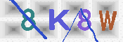 キャプチャ画像
