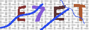 キャプチャ画像