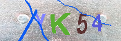 キャプチャ画像