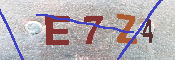 キャプチャ画像