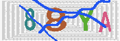 キャプチャ画像