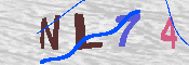 キャプチャ画像