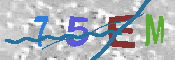 キャプチャ画像