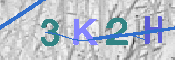 キャプチャ画像