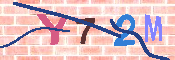 キャプチャ画像