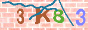 キャプチャ画像