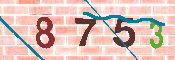 キャプチャ画像