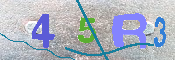キャプチャ画像