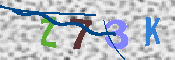 キャプチャ画像