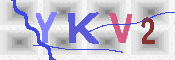 キャプチャ画像