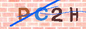 キャプチャ画像