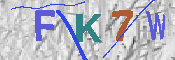 キャプチャ画像