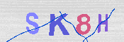 キャプチャ画像