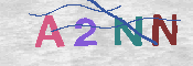 キャプチャ画像