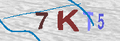 キャプチャ画像
