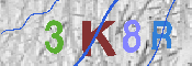 キャプチャ画像