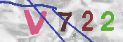 キャプチャ画像