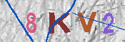 キャプチャ画像