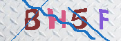 キャプチャ画像