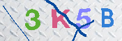 キャプチャ画像