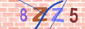 キャプチャ画像