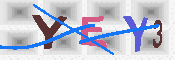 キャプチャ画像