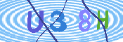 キャプチャ画像
