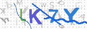 キャプチャ画像