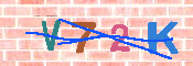 キャプチャ画像