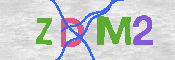 キャプチャ画像