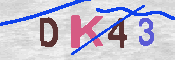 キャプチャ画像