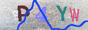 キャプチャ画像