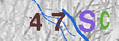 キャプチャ画像