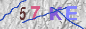 キャプチャ画像