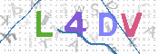 キャプチャ画像