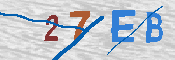 キャプチャ画像