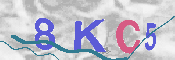 キャプチャ画像