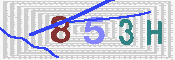 キャプチャ画像