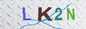 キャプチャ画像