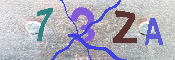 キャプチャ画像