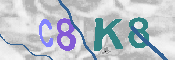 キャプチャ画像