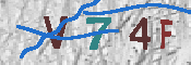 キャプチャ画像