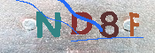 キャプチャ画像