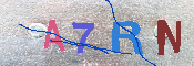キャプチャ画像